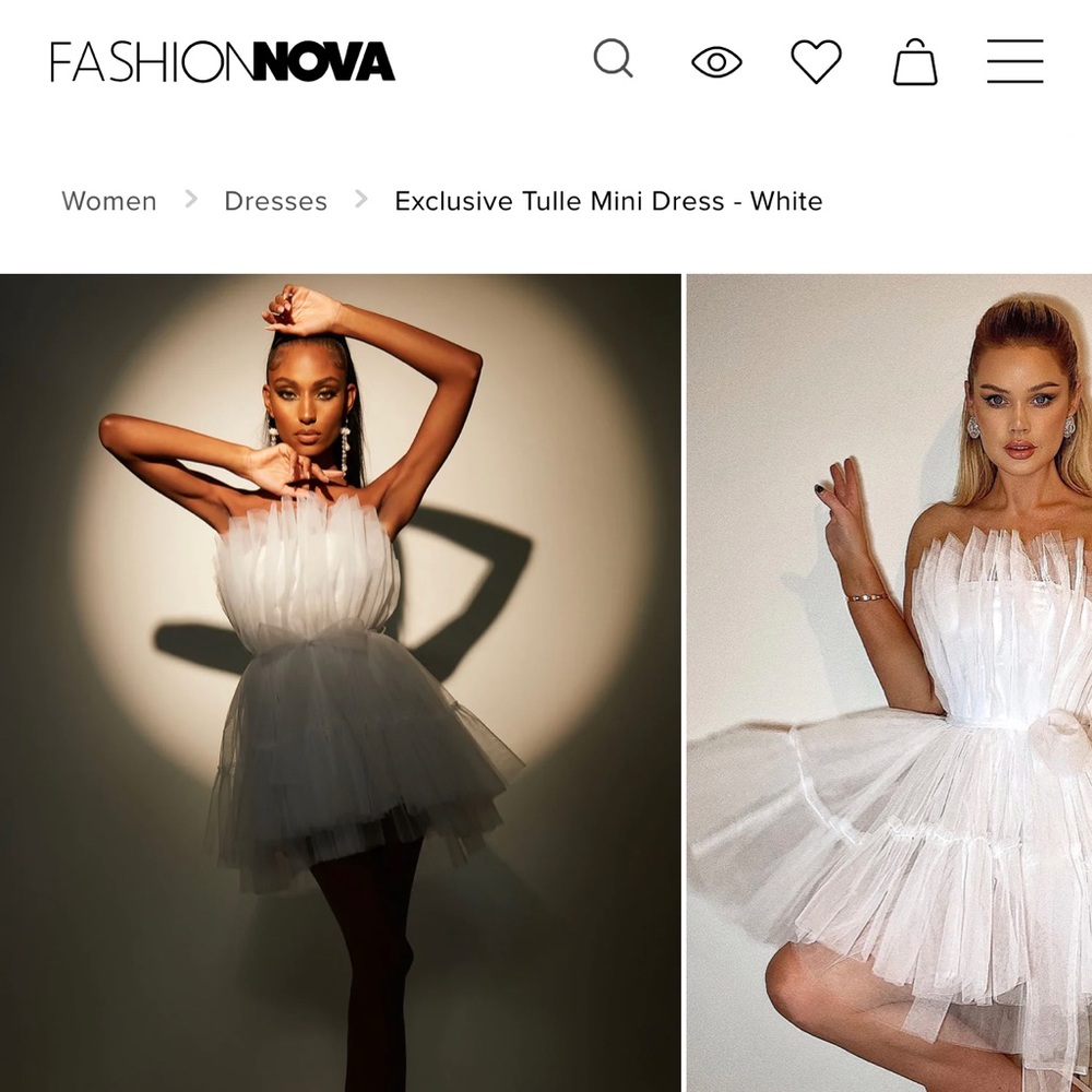 Fashion Nova Tulle Mini Dress